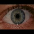 eye